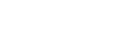 Visionary Skills